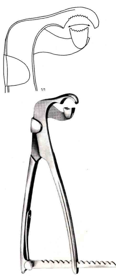LAMBOTTE KEMİK TUTUCU KLEMPİ 23CM